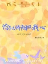 恰似骄阳照我心 栀夏鸢 TXT全文 全本连载