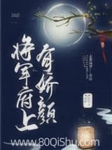将军府上有娇颜 大漠风铃 TXT全文 全本连载