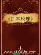 荆棘玫瑰 没有羊毛 TXT全文 全本连载