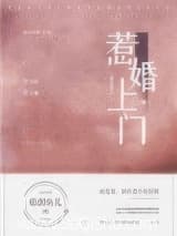 惹婚上门 临渊鱼儿 TXT全文 全本连载