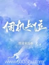 伺机上位 迷途未返 TXT全文 全本连载