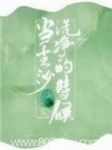 当尘沙洗净的时候[赌石] 甲虫花花 TXT全文 全本连载